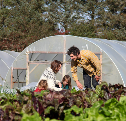 Moyhill Farm, Co. Clare